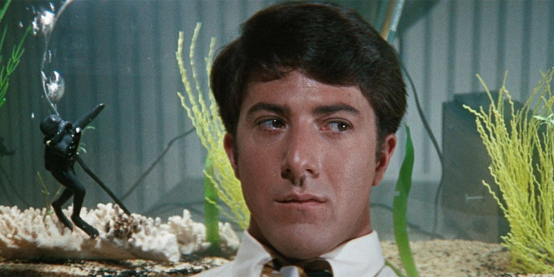 The Graduate